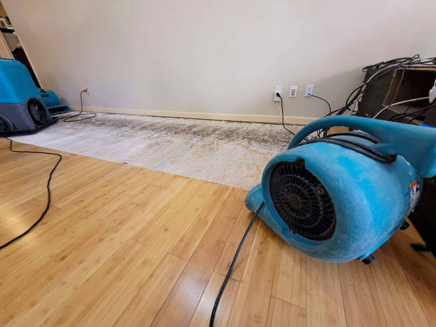 Professional Burst Pipe Water Damage technician working in Burke, SD